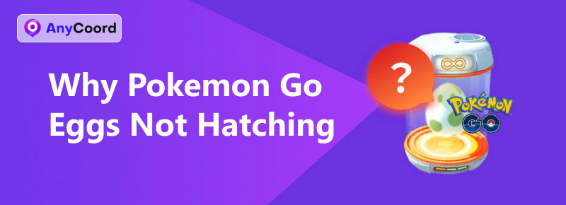 Pokemon GO Eggs Not Hatching