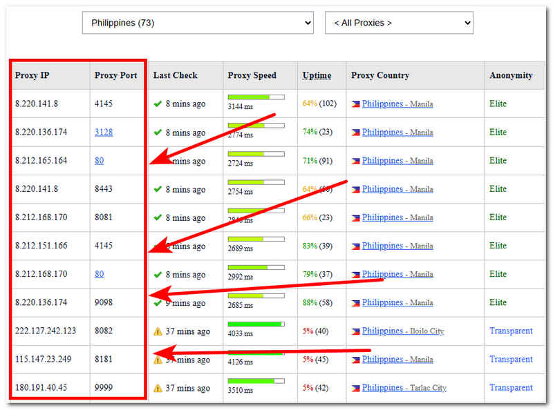 Proxy Server And Port